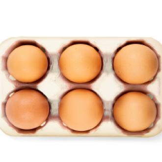 전남 무안 유정란 15개입